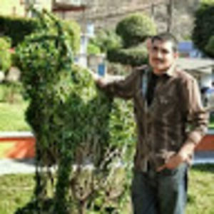 Meet your Posher, Alfredo